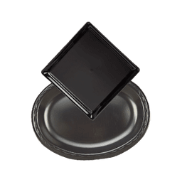 Contains 1 Disposable Platters products