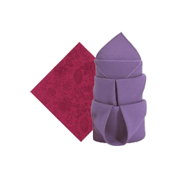 Contains 162 Napkins and Towels products